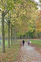 Cjp_2009_10_29_161800 (1).jpg